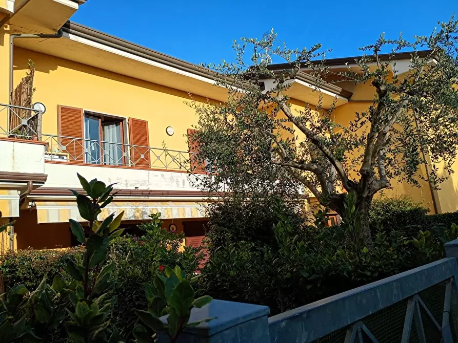 Immagine 7 di Appartamento in vendita  a Massa