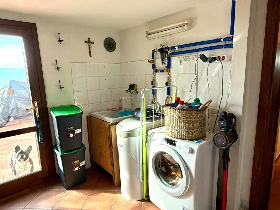 Immagine 29 di Casa indipendente in vendita  a Terricciola