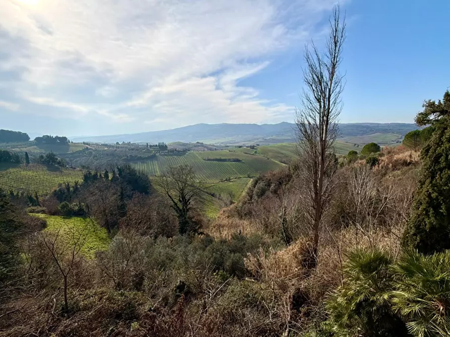 Immagine 18 di Casa indipendente in vendita  a Terricciola