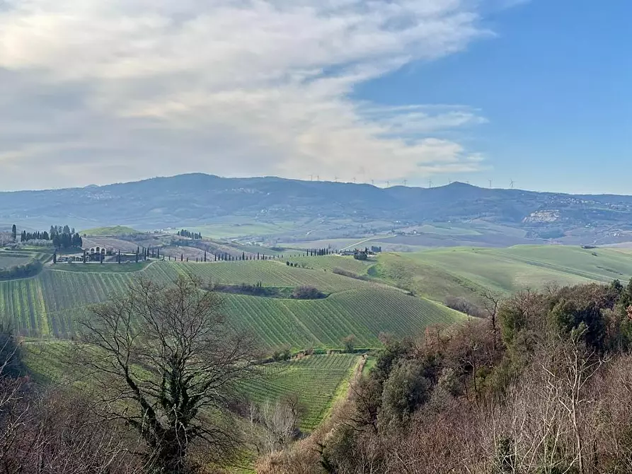 Immagine 2 di Casa indipendente in vendita  a Terricciola