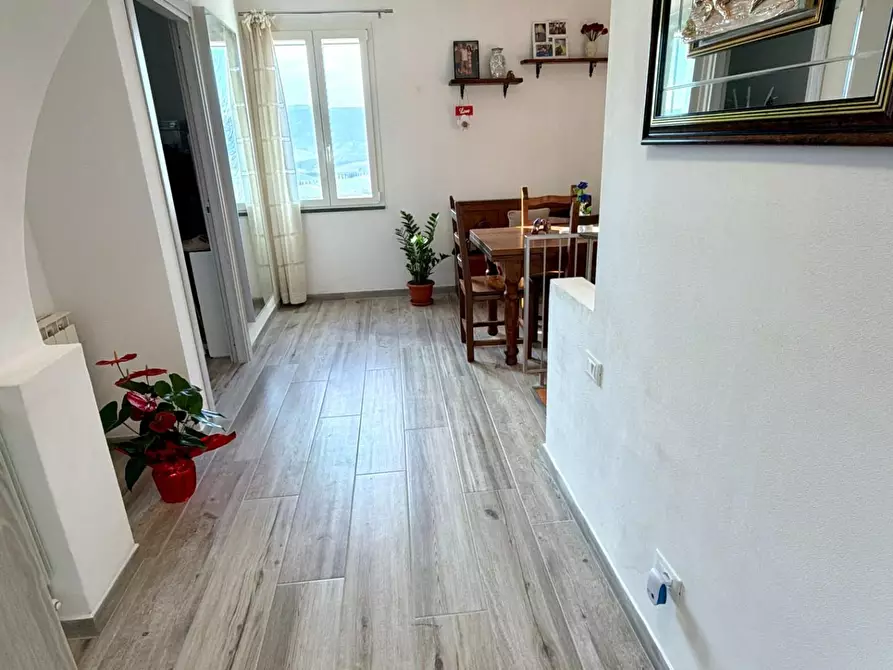 Immagine 15 di Casa indipendente in vendita  a Terricciola
