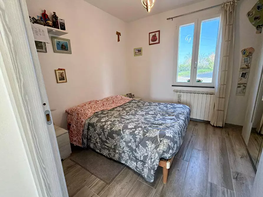 Immagine 13 di Casa indipendente in vendita  a Terricciola