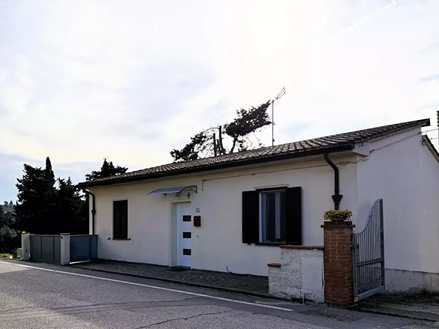 Immagine 37 di Casa indipendente in vendita  a Terricciola
