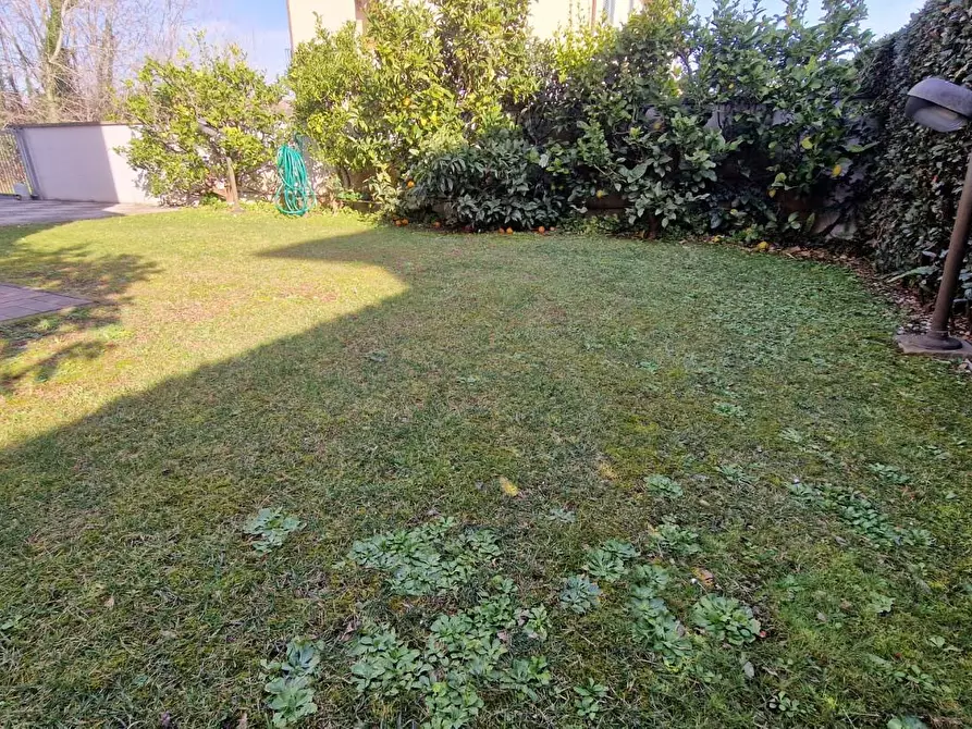 Immagine 30 di Villa in vendita  a San Giuliano Terme