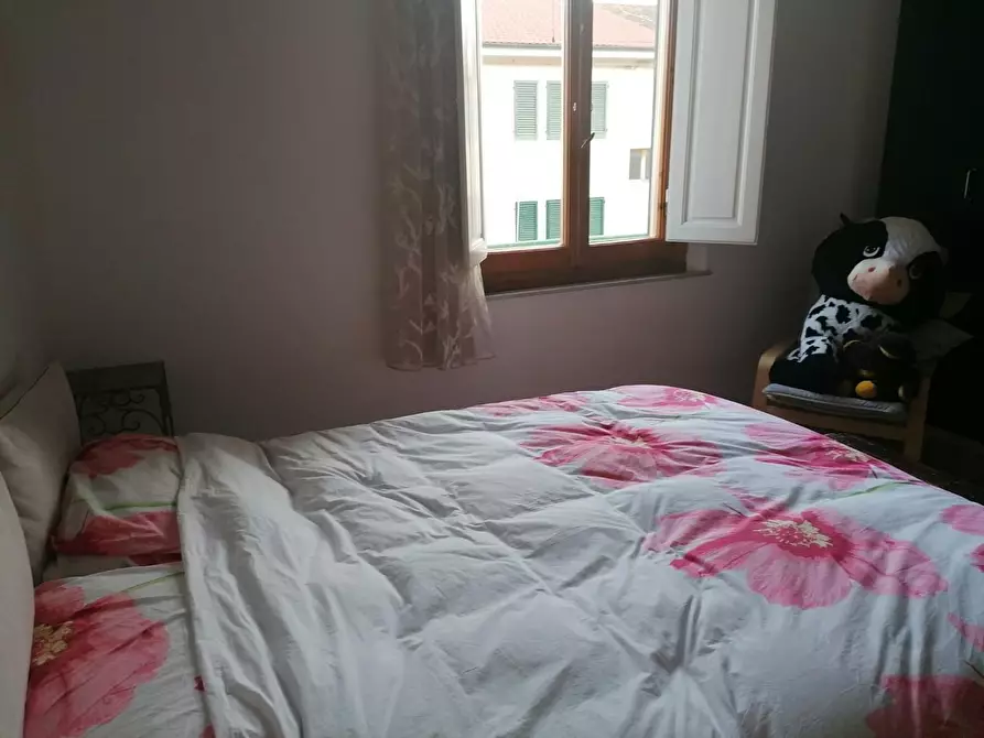 Immagine 18 di Terratetto in vendita  a Capraia E Limite