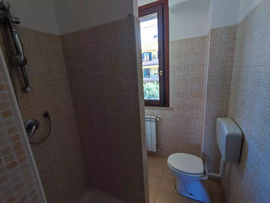 Immagine 4 di Appartamento in vendita  a Terricciola