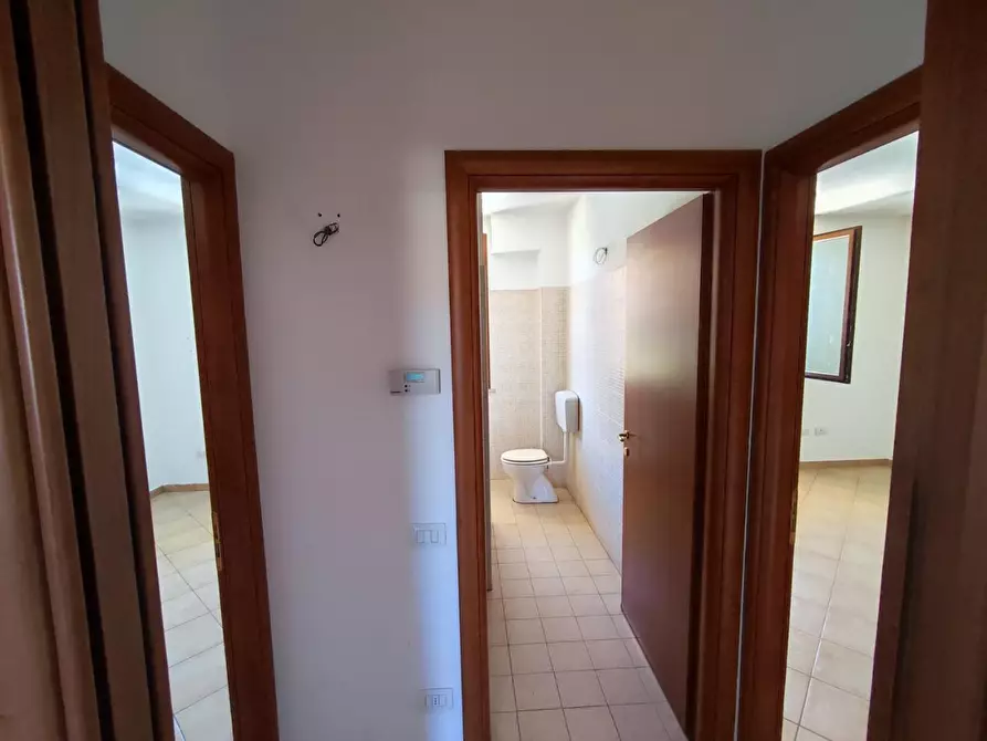 Immagine 7 di Appartamento in vendita  a Terricciola