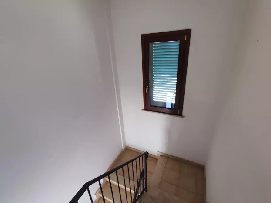 Immagine 10 di Appartamento in vendita  a Terricciola