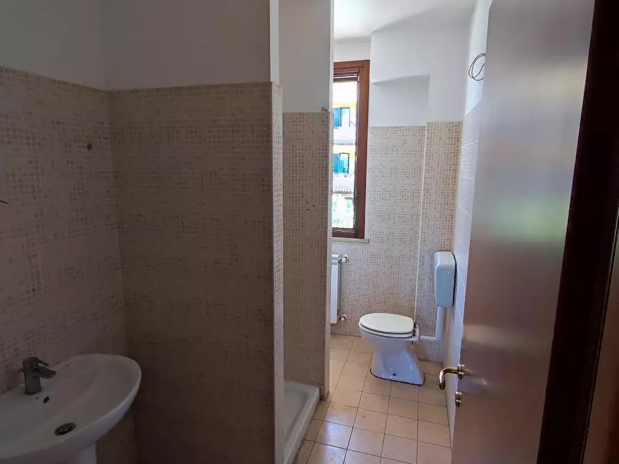 Immagine 8 di Appartamento in vendita  a Terricciola