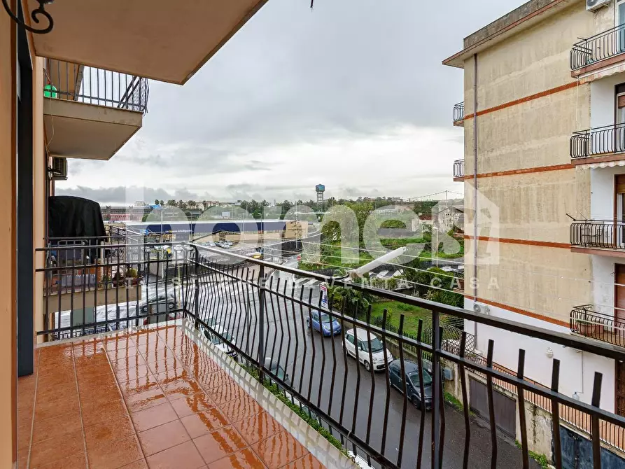 Immagine 30 di Appartamento in vendita  a Gravina Di Catania