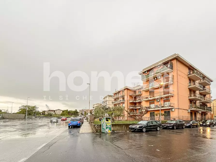 Immagine 2 di Appartamento in vendita  a Gravina Di Catania