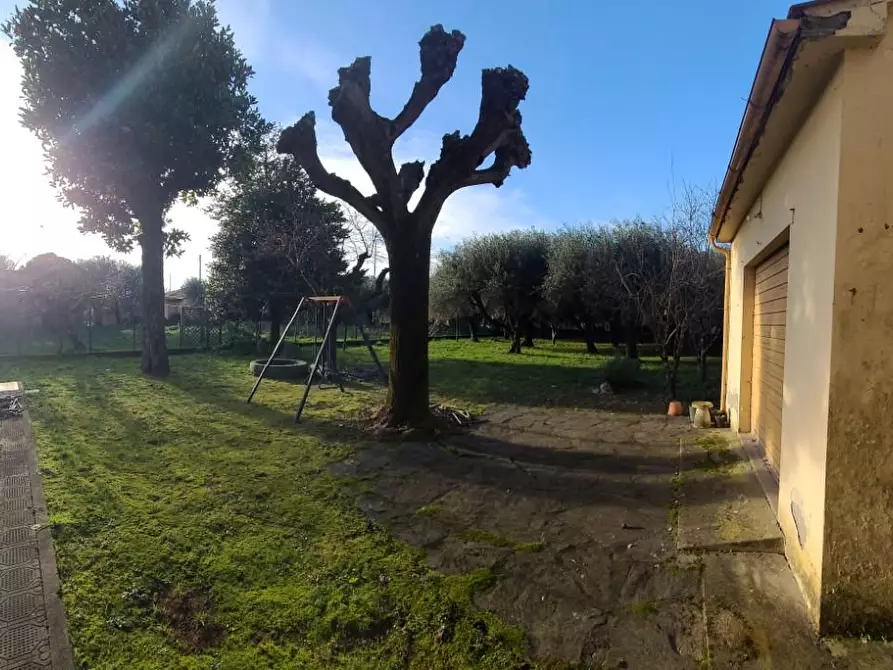 Immagine 12 di Casa indipendente in vendita  a Seravezza