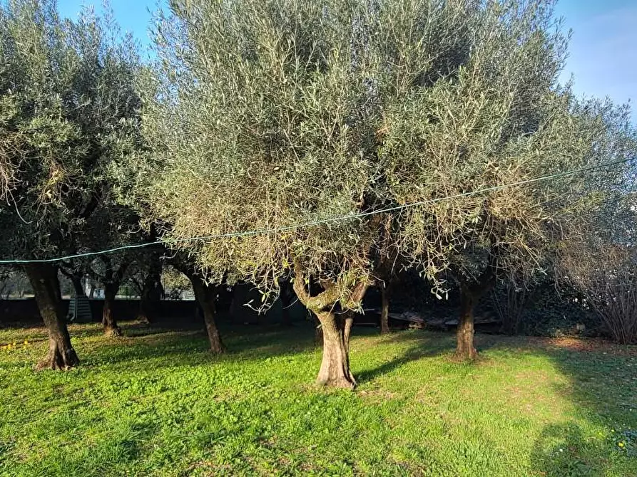 Immagine 10 di Casa indipendente in vendita  a Seravezza