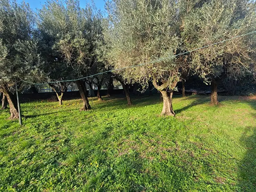 Immagine 11 di Casa indipendente in vendita  a Seravezza