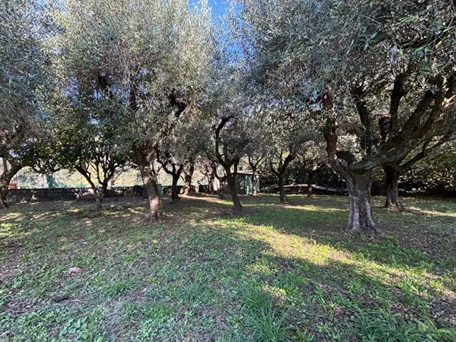 Immagine 13 di Casa indipendente in vendita  a Seravezza