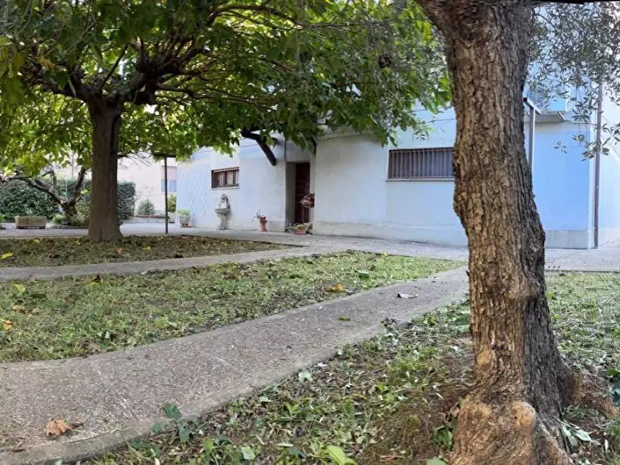 Immagine 44 di Villa in vendita  a Pisa