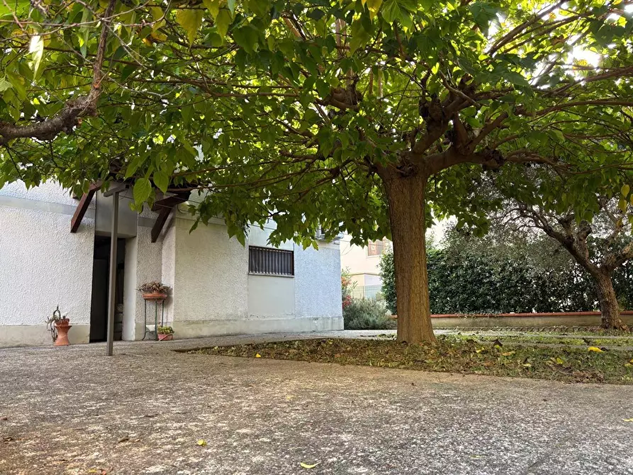 Immagine 45 di Villa in vendita  a Pisa