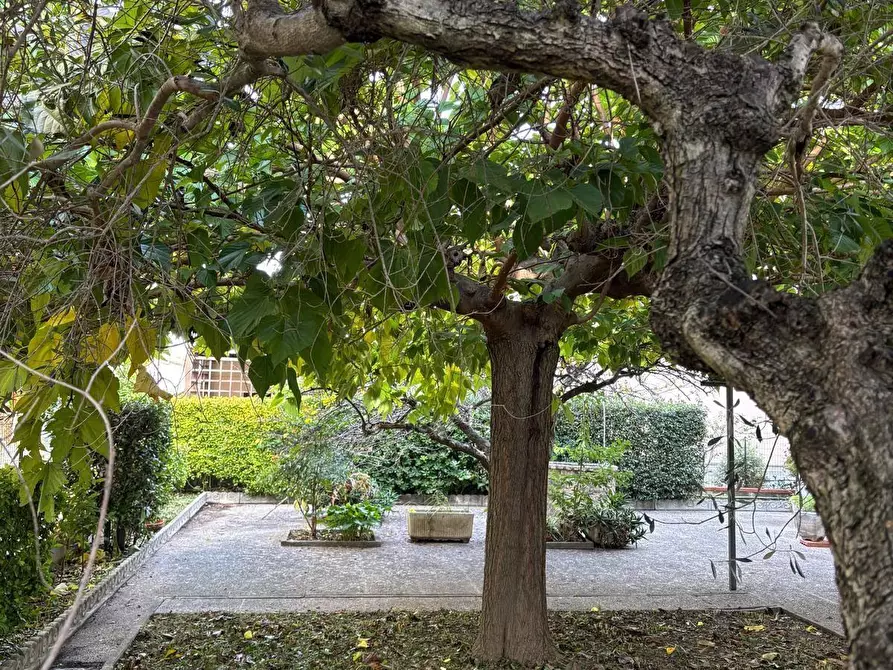 Immagine 42 di Villa in vendita  a Pisa