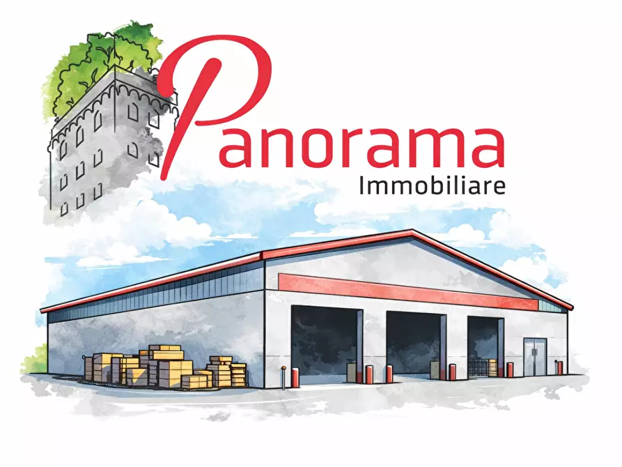 Immagine 2 di Capannone industriale in vendita  a Altopascio