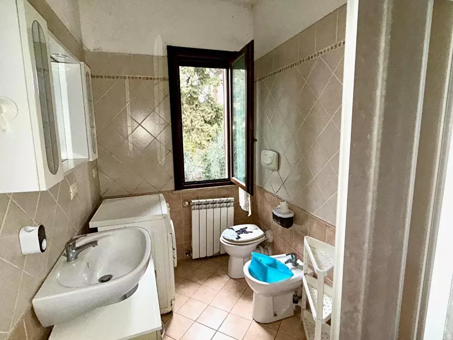 Immagine 7 di Appartamento in vendita  a Peccioli