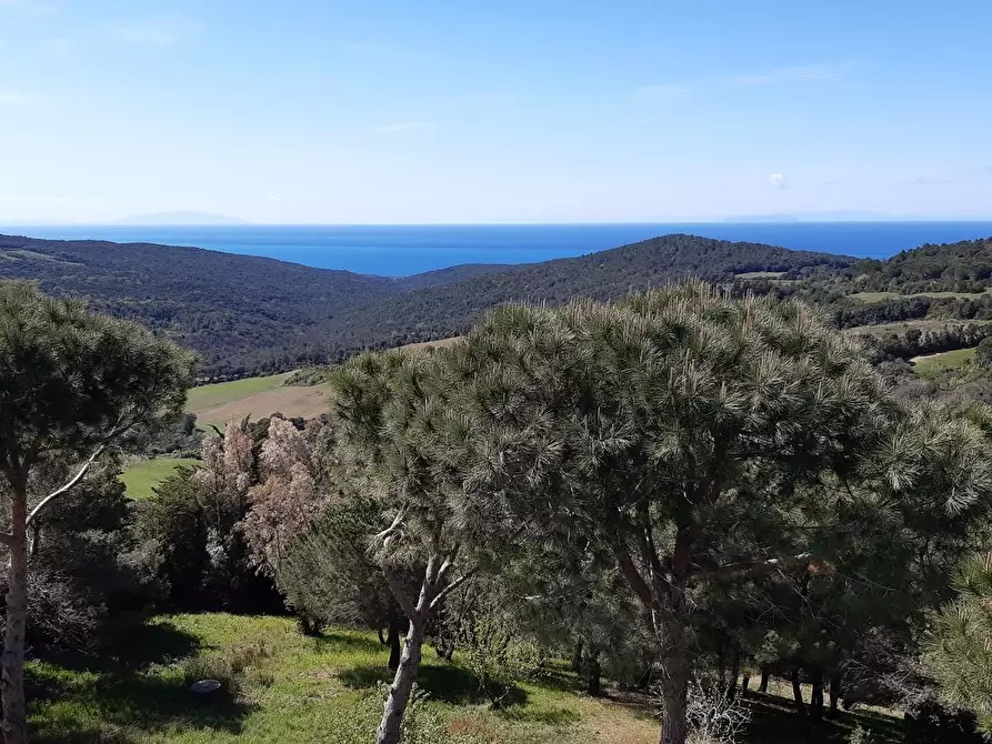 Immagine 6 di Appartamento in vendita  a Rosignano Marittimo