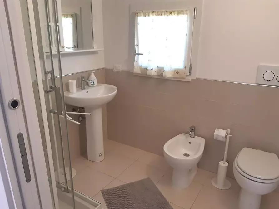 Immagine 13 di Appartamento in vendita  a Rosignano Marittimo