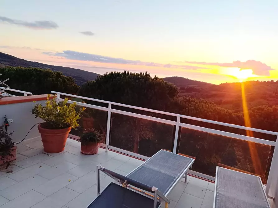 Immagine 4 di Appartamento in vendita  a Rosignano Marittimo