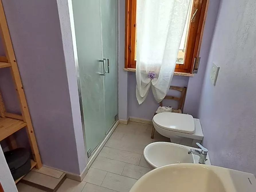 Immagine 20 di Appartamento in vendita  a Rosignano Marittimo