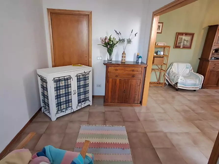 Immagine 11 di Appartamento in vendita  a Rosignano Marittimo