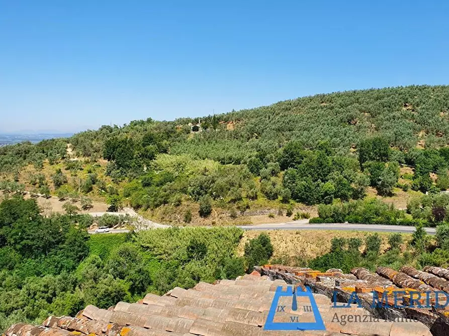 Immagine 45 di Casa colonica in vendita  a Lamporecchio