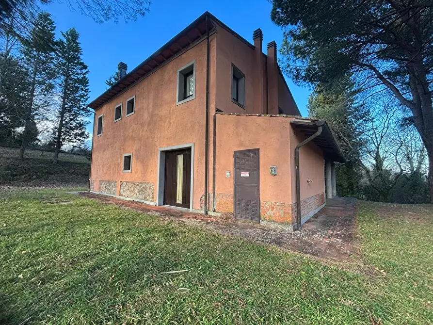 Immagine 5 di Villa in vendita  a Palaia