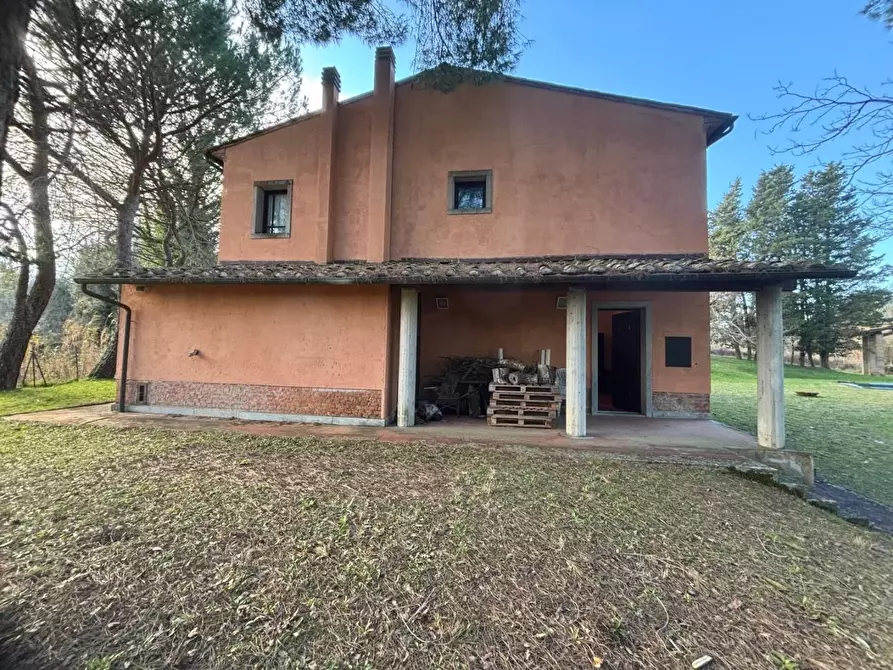 Immagine 6 di Villa in vendita  a Palaia