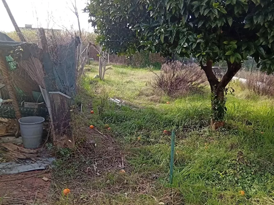 Immagine 8 di Casa semindipendente in vendita  a Carrara