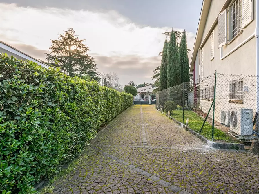 Immagine 5 di Casa bifamiliare in vendita  a Pontedera