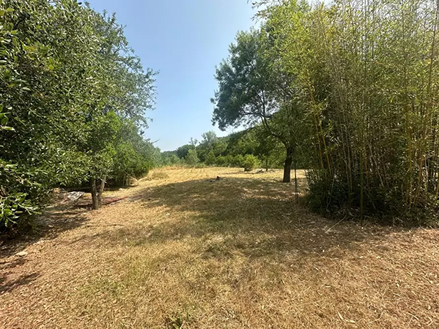 Immagine 20 di Villa in vendita  a Montecatini Val Di Cecina