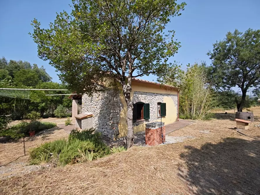 Immagine 12 di Villa in vendita  a Montecatini Val Di Cecina