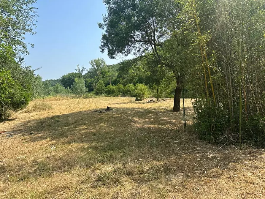 Immagine 19 di Villa in vendita  a Montecatini Val Di Cecina