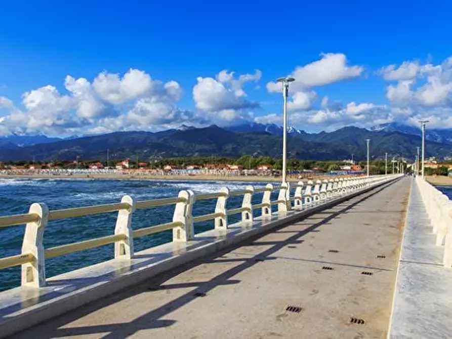 Immagine 6 di Villa in vendita  a Forte Dei Marmi