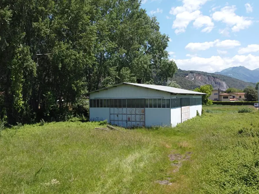 casa indipendente in vendita a Montignoso in zona Renella