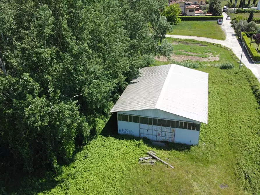 Immagine 3 di Terreno residenziale in vendita  a Montignoso