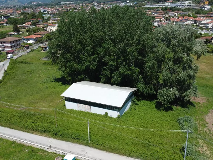 Immagine 8 di Terreno residenziale in vendita  a Montignoso