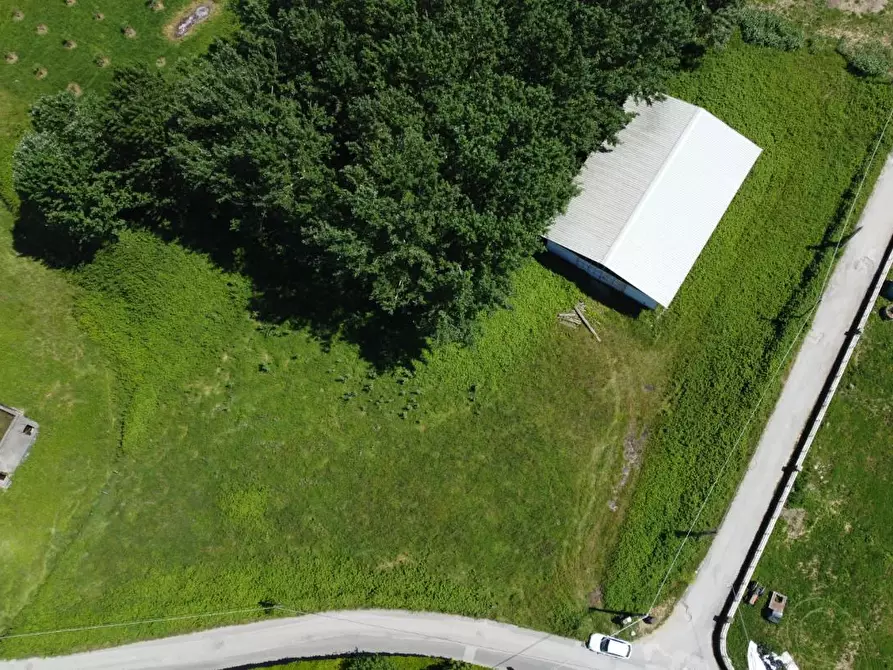 Immagine 5 di Terreno residenziale in vendita  a Montignoso