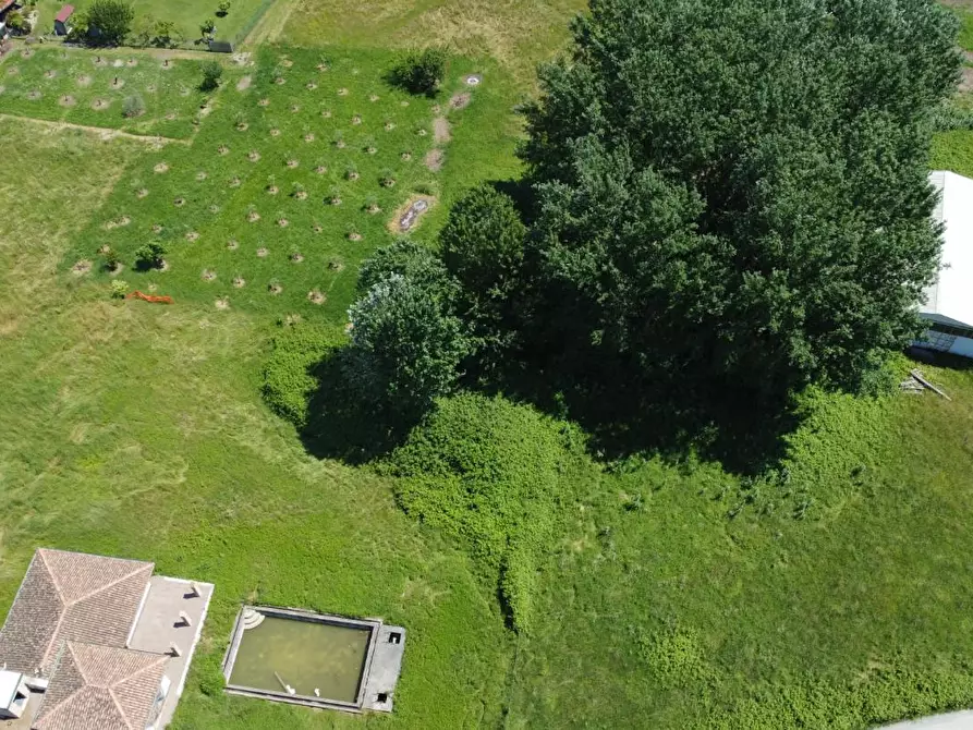 Immagine 7 di Terreno residenziale in vendita  a Montignoso