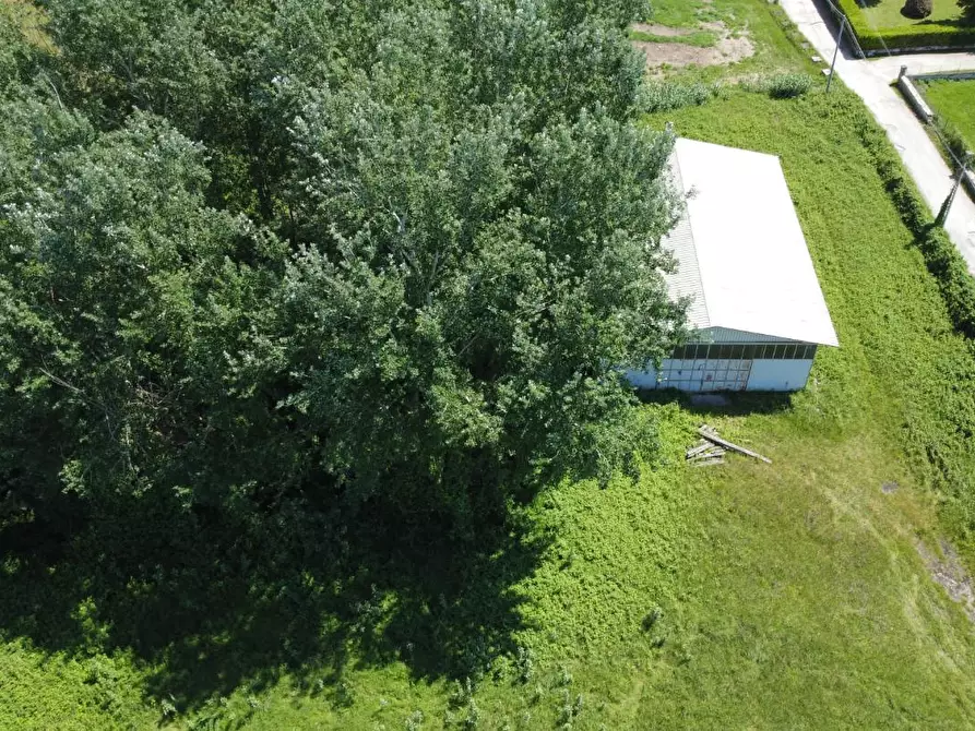 Immagine 6 di Terreno residenziale in vendita  a Montignoso