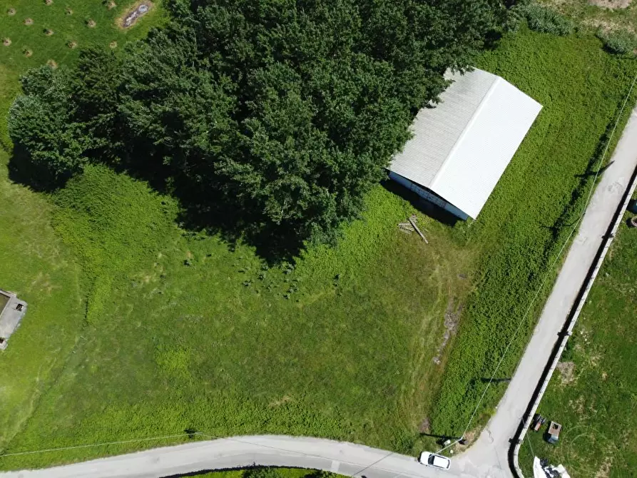 Immagine 4 di Terreno residenziale in vendita  a Montignoso