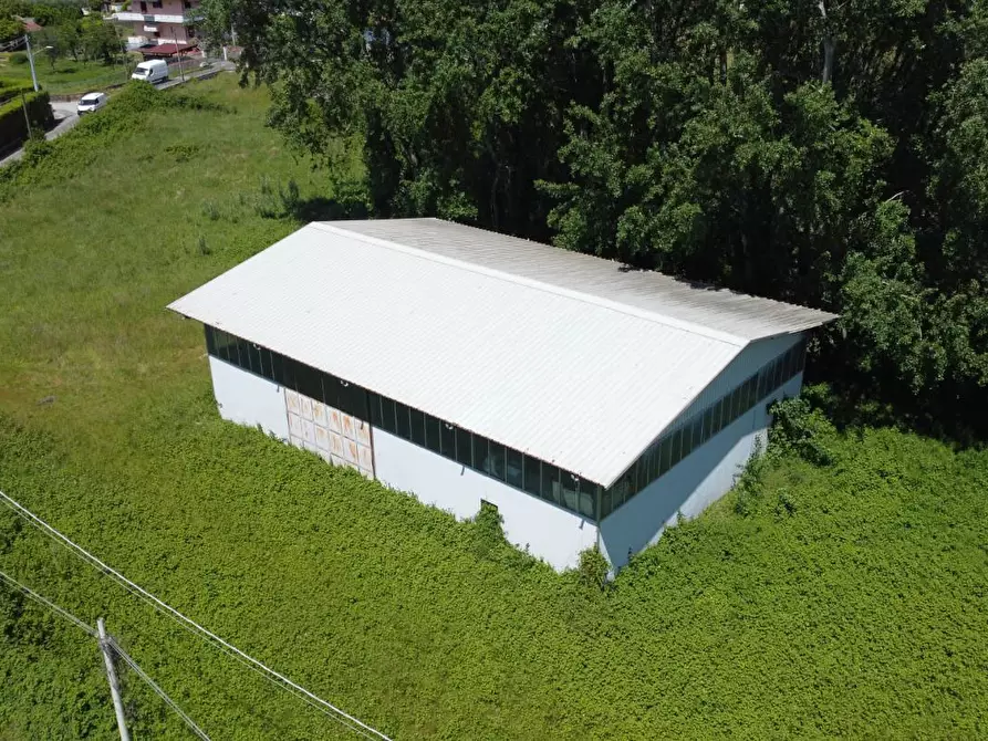 Immagine 11 di Terreno residenziale in vendita  a Montignoso