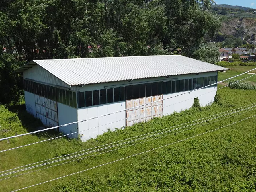Immagine 10 di Terreno residenziale in vendita  a Montignoso