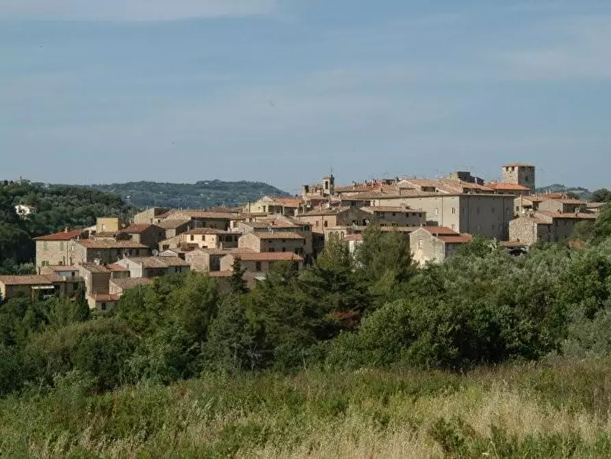 Immagine 17 di Appartamento in vendita  a Bibbona