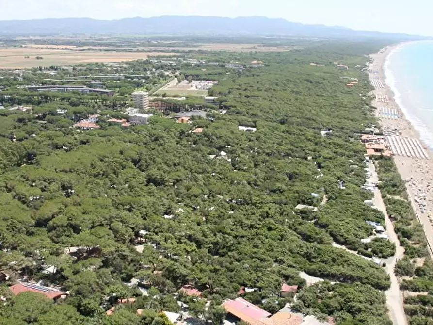 Immagine 8 di Appartamento in vendita  a Bibbona