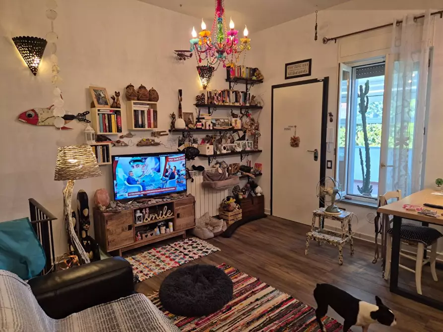 Immagine 5 di Appartamento in vendita  a Campiglia Marittima